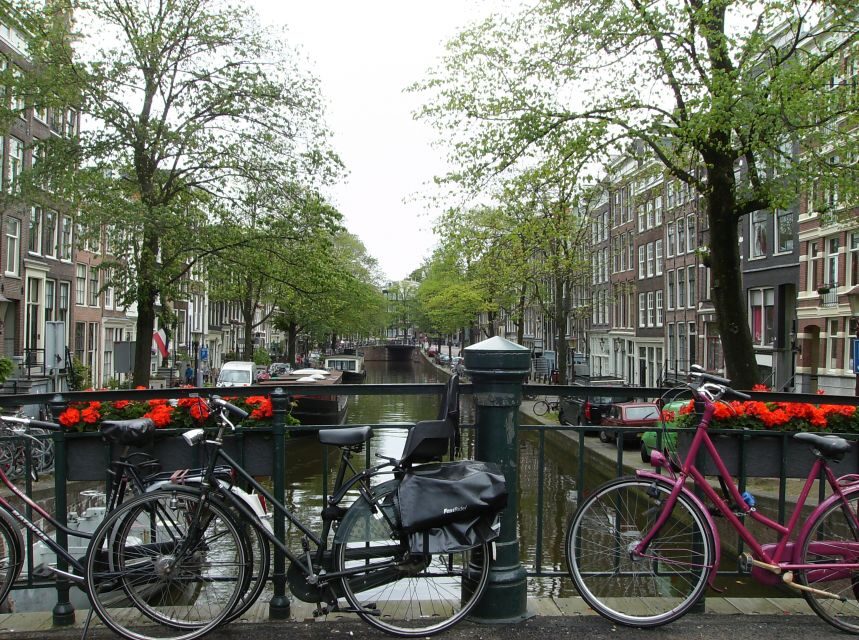 Amsterdam 1-Hour Rickshaw Tour - When to Do It and How to Get the Most from the Ride
