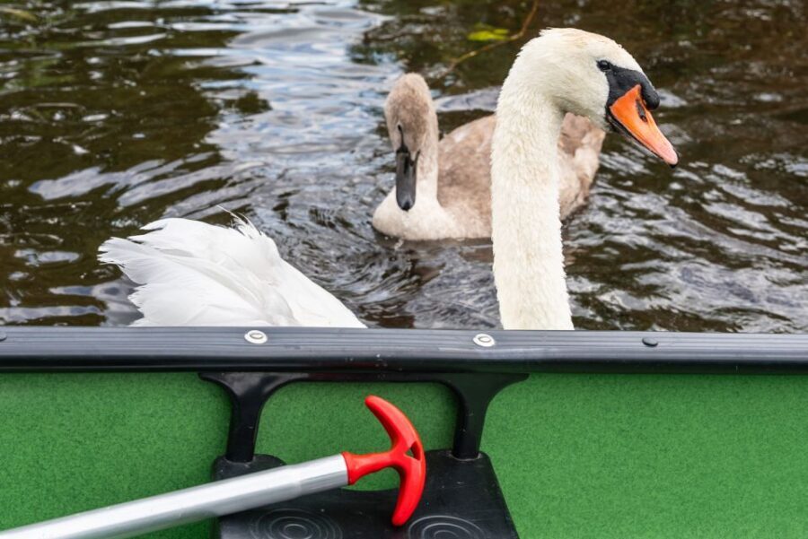 Amsterdam: 2-Hour Guided Canoe Trip - What to pack so you’re comfortable on the water