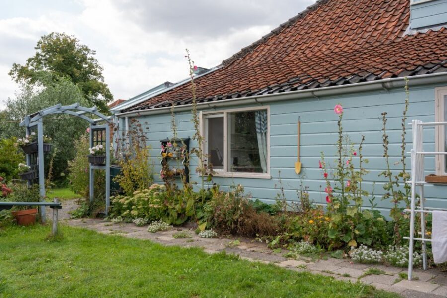 Amsterdam: 2-Hour Guided Canoe Trip - Meadows and wetlands: the wider Dutch water world