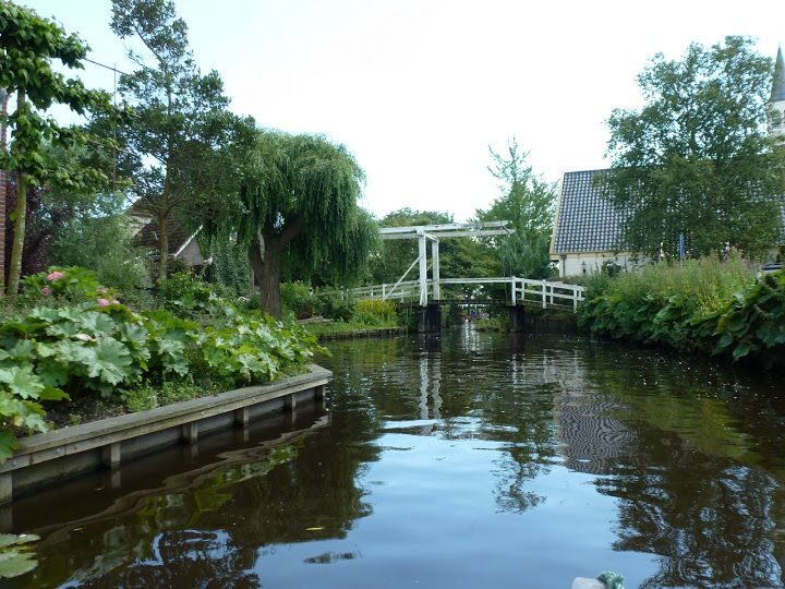 Amsterdam 5-Hour Guided Canoe Trip in the Wetlands - Canoe through reed-choked waterways of North Holland