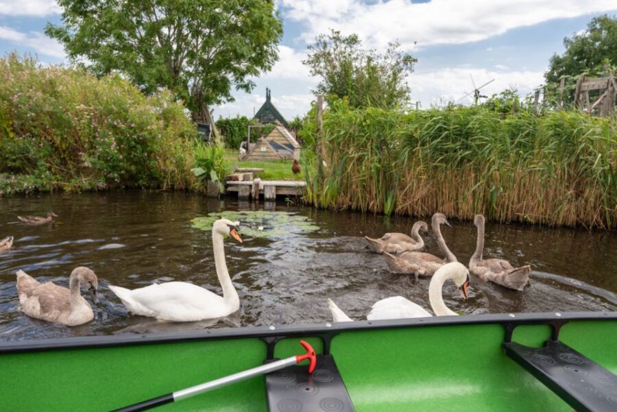 Amsterdam 5-Hour Guided Canoe Trip in the Wetlands - Birdwatching that’s more than a checklist