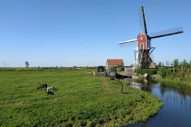 Amsterdam and Countryside Private Full-Day Tour by luxury car - Waterland: green meadows, cattle, and a different kind of Dutch story