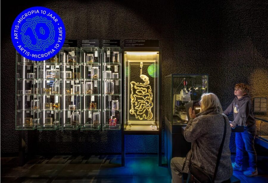 Amsterdam: Artis Royal Zoo & ARTIS-Micropia Combo Ticket - The zoo highlights: elephants, lemurs, otters, and more