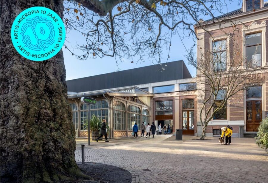 Amsterdam: Artis Royal Zoo & ARTIS-Micropia Combo Ticket - After-hours calm: when the zoo changes its rhythm