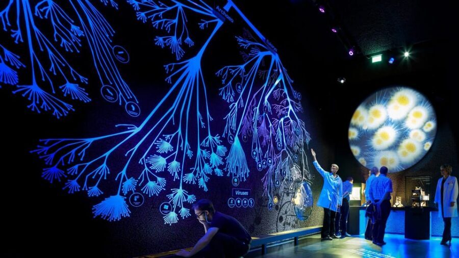 Amsterdam: Artis Royal Zoo & ARTIS-Micropia Combo Ticket - ARTIS-Micropia: the microbe museum you can’t stop thinking about