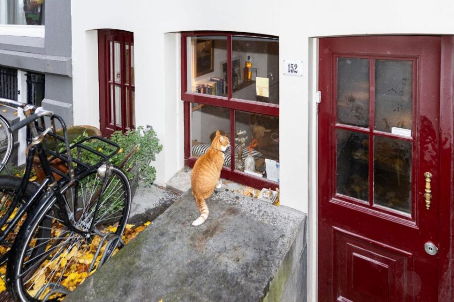 Amsterdam Central Walking Tour - Key Points Worth Noting