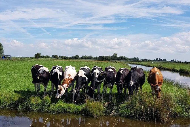 Amsterdam City & Countryside Tour: The Best of both Worlds - The guide factor: personalization from Younes