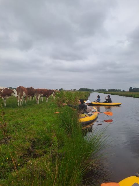 Amsterdam: Countryside Bike and Kayak Guided Tour - D’Admiraal Windmill: the perfect first “wow” stop
