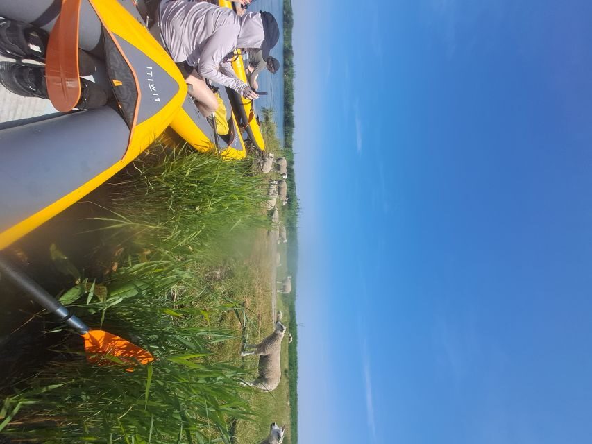 Amsterdam: Countryside Bike and Kayak Guided Tour - The mid-tour break: a chance to reset and see village life