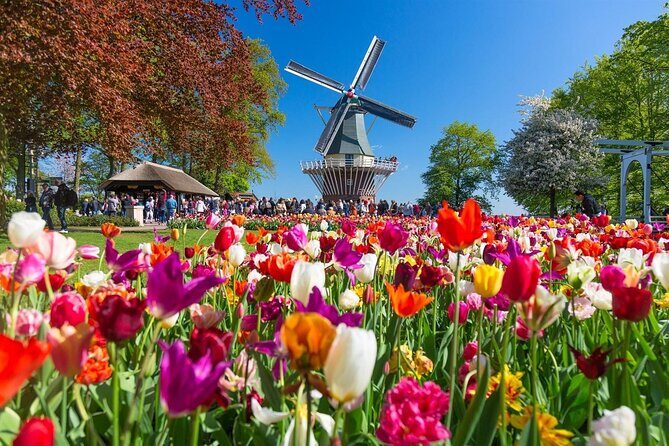 Amsterdam: Day Trip to Keukenhof & Zaanse Schans Windmills - Lisse tulip fields on the drive: pretty views, but plan for what you’ll do