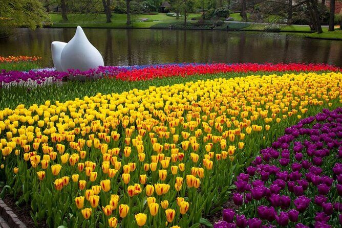 Amsterdam: Day trip to Tulip Farm, Keukenhof + Windmill Cruise - Price and value: what $102.23 buys you (and what it doesn’t)