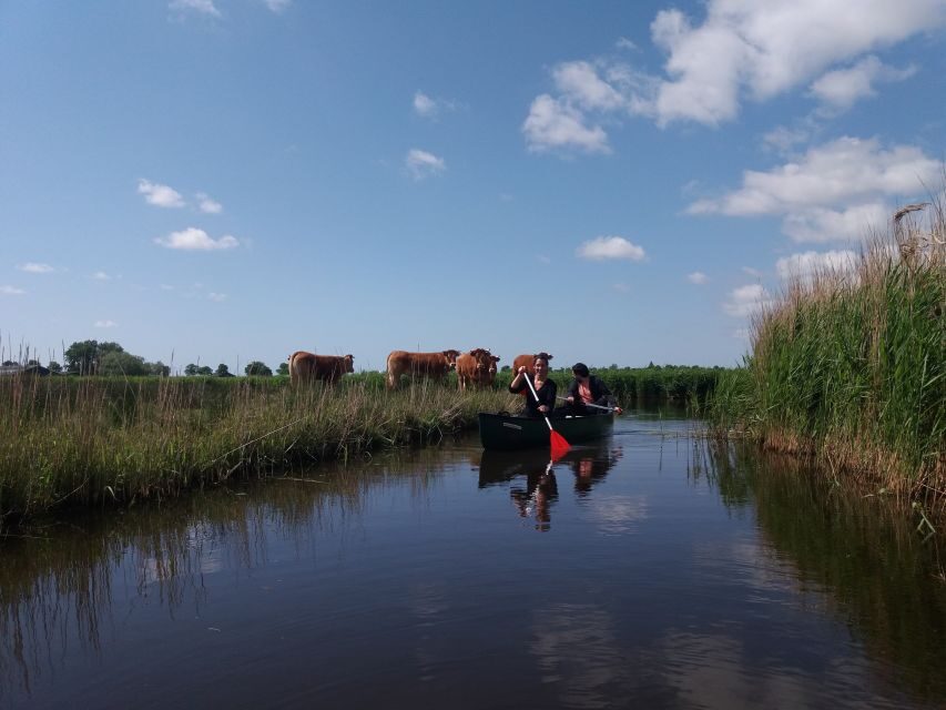 Amsterdam: Dutch Countryside Sunset Canoe Tour - What to bring so you stay comfortable (and not miserable)
