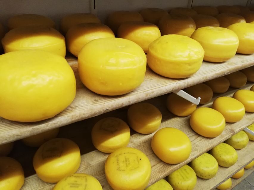 Amsterdam: Full-Day Countryside Tour - Key things to know before you go