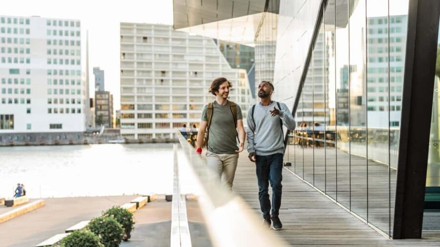 Amsterdam: Highlights & Hidden Gems Private Walking Tour - Why a private walk beats the usual Amsterdam grind
