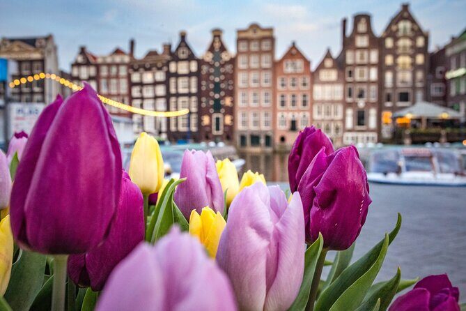 Amsterdam Highlights Walking Tour - Key highlights worth planning around