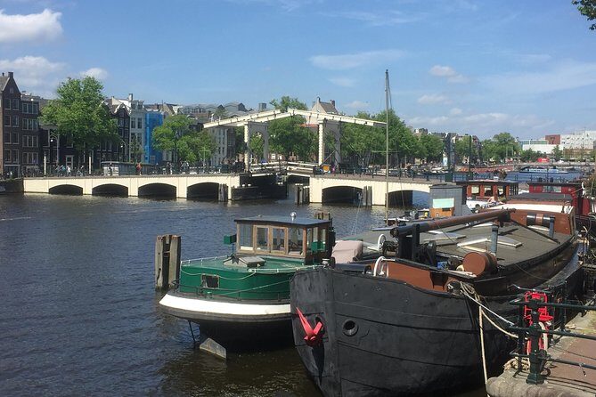 Amsterdam in a Nutshell 4 Hour Private Car Tour and Amsterdam Born Private Guide - Price and Logistics: What You’re Really Paying For