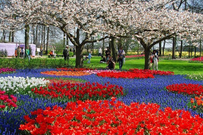 Amsterdam: Keukenhof Entry & Shuttle Bus with Flexible Return - Should you book this Amsterdam to Keukenhof shuttle?