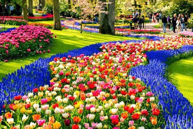 Amsterdam : Keukenhof FlowerFarm Privatetour Skip-The-Line ticket - Value and price: what you are really paying for at $463.74 per person