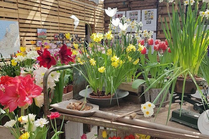 Amsterdam : Keukenhof FlowerFarm Privatetour Skip-The-Line ticket - Who this tour suits best (and who might want something else)
