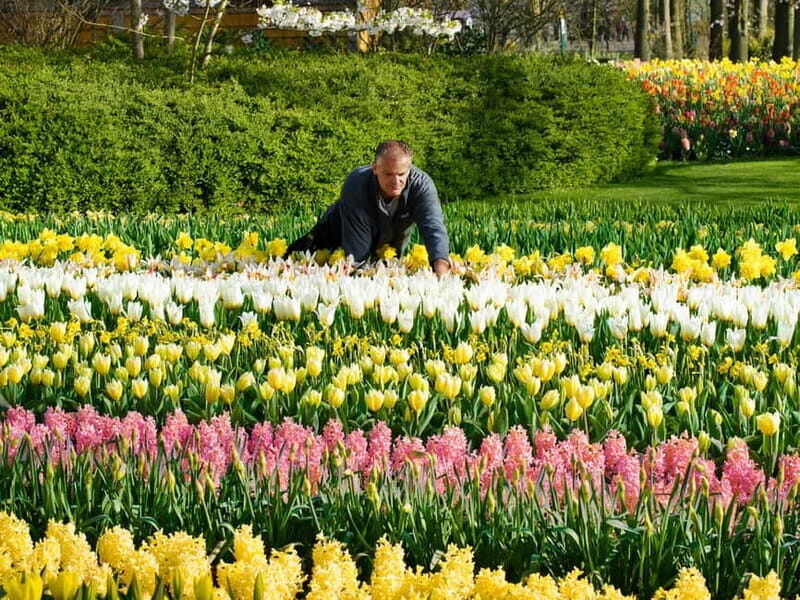 Amsterdam: Keukenhof Ticket and Roundtrip Shuttle Transfer - Keukenhof Shuttle Value: What You’re Actually Paying For