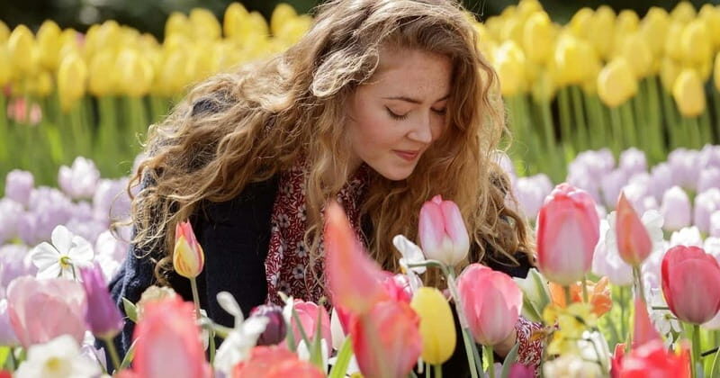 Amsterdam: Keukenhof Ticket and Roundtrip Shuttle Transfer - At Keukenhof: Freedom to Roam (No Timed Guided Script)
