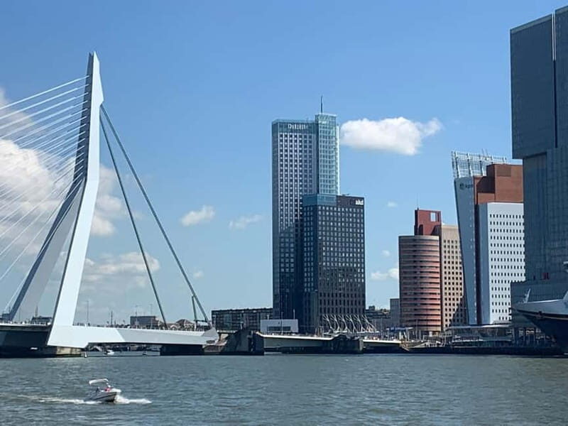 Amsterdam: Kinderdijk, Euromast, Delft and Den Haag Day Tour - The guides: why the day works when the details matter