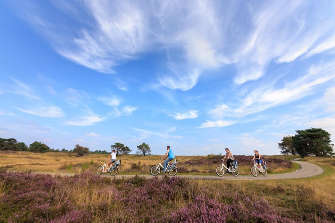 Amsterdam: Kröller Müller Museum and Hoge Veluwe NP Private Tour - Time budgeting: how to avoid feeling rushed