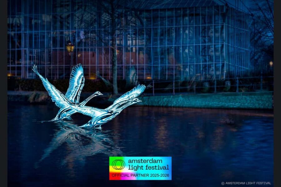 Amsterdam: Light Festival Heated Cruise with Drinks Option - What makes this Amsterdam Light Festival cruise worth it