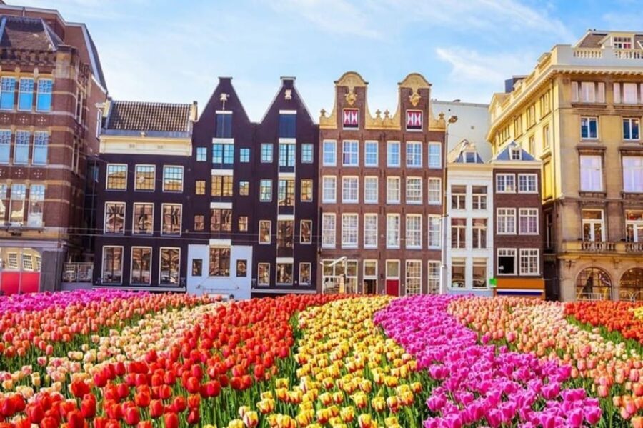 Amsterdam: Must-See Attractions Guided Walking Tour - What the guide does (and why your experience can vary)