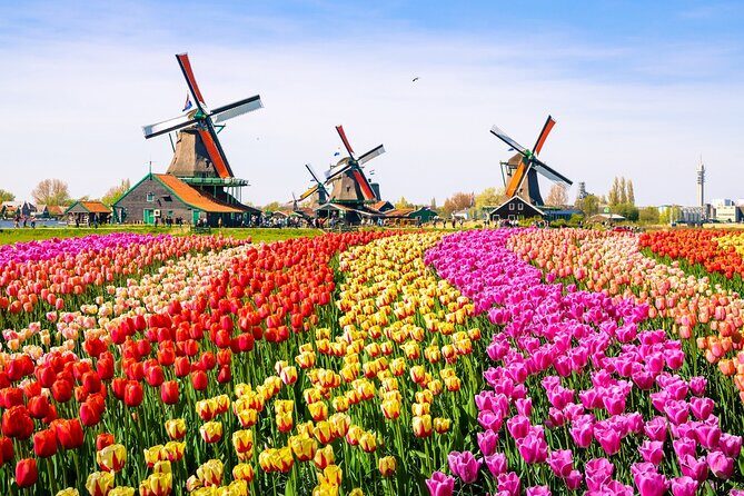 Amsterdam Pass: 45+ Things To Do - Includes Rijksmuseum - A’DAM Lookout: skyline views that quickly “click” Amsterdam into place