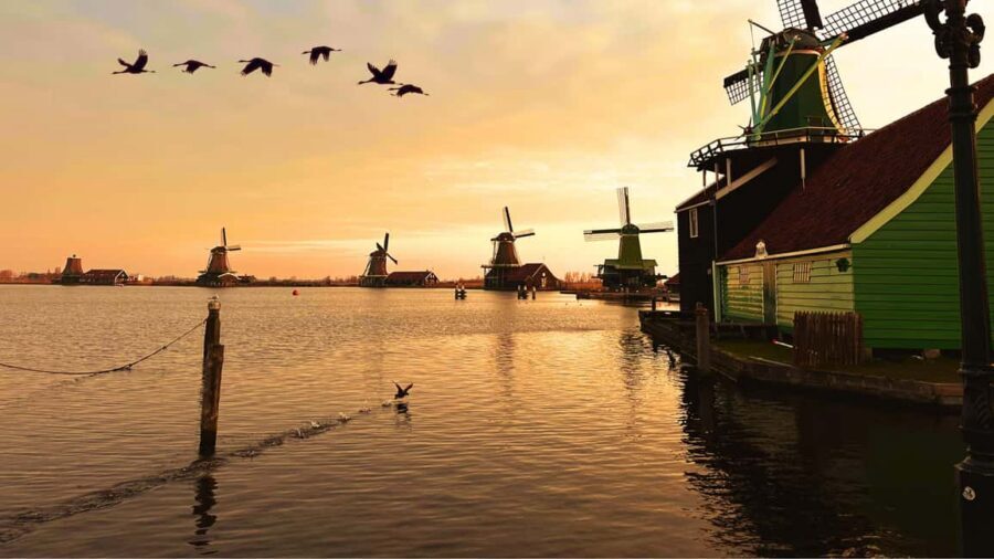 Amsterdam: Private Tour Giethoorn, Zaanse Schans Local Guide - Cheese tasting and clogs: the Dutch stops that feel real, not staged