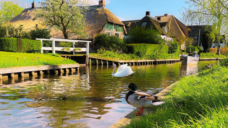 Amsterdam: Private Tour Giethoorn, Zaanse Schans Local Guide - Price and value: $1,063 per group, what you’re buying