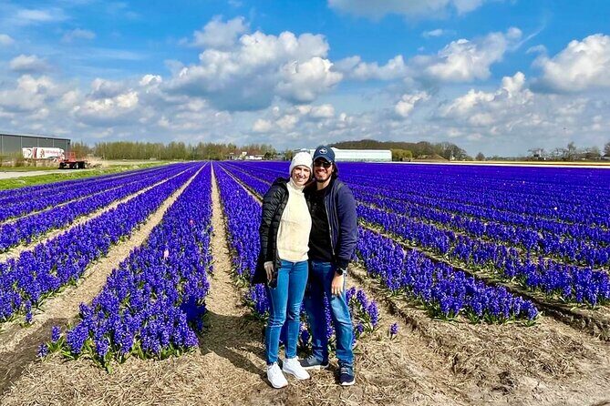 Amsterdam Private Tour to Keukenhof, Tulip Fields and Windmills - Price and what $391.56 really buys