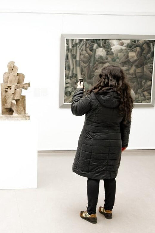 Amsterdam: Private tour to Kröller-Müller Museum - Should you book this private Kröller-Müller day trip?