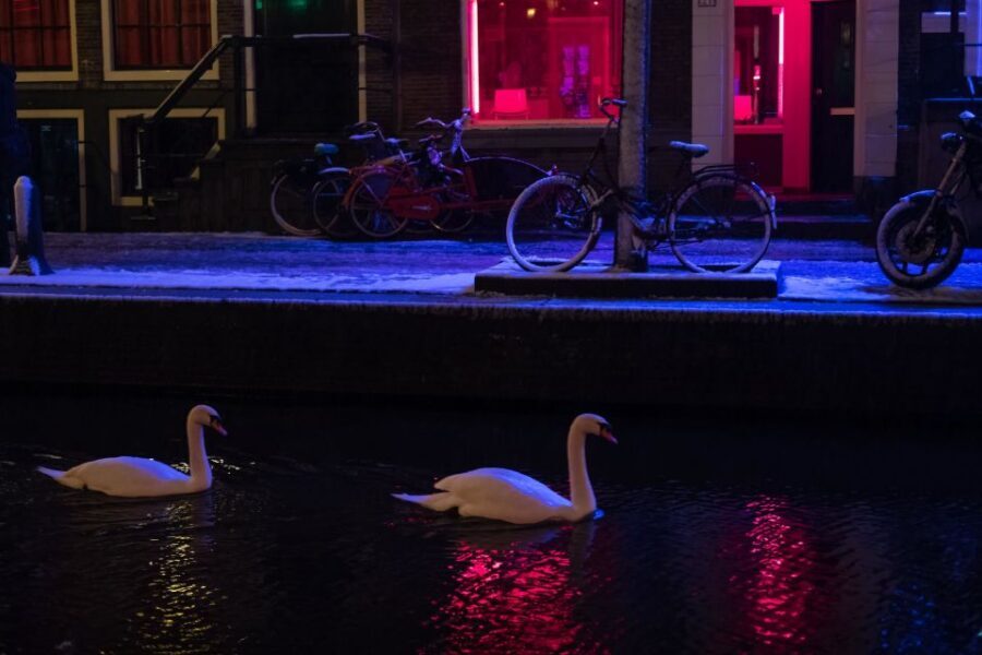 Amsterdam: Red Light District and Coffeeshop Culture Tour - The 2-Hour Structure That Keeps It From Feeling Like Chaos