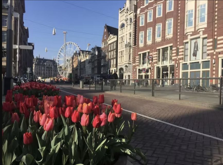 Amsterdam: The Story of History & Culture Walking Tour - Who This Tour Fits Best