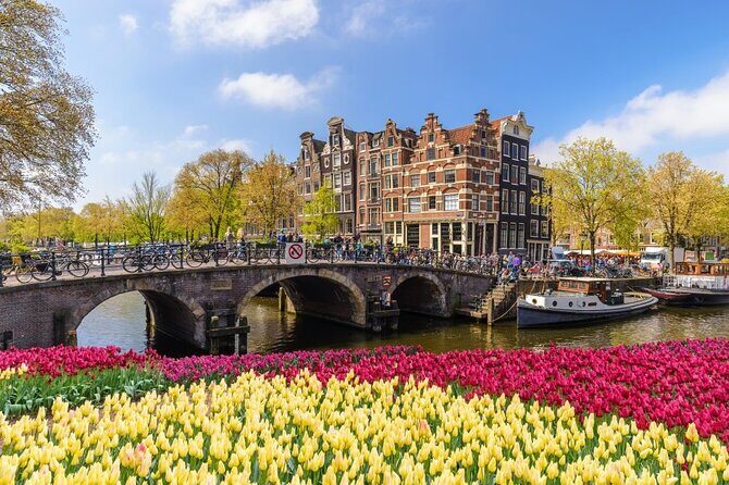Amsterdam to Schiphol Airport Private Transfer - Who This Transfer Fits Best