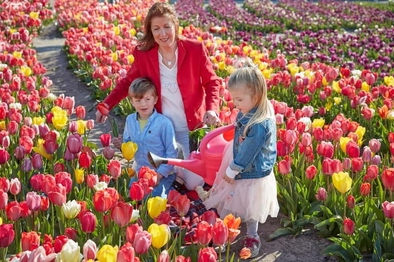 Amsterdam : Tulip Wonderland Tour - The easy 30-minute ride that gets you out of the city