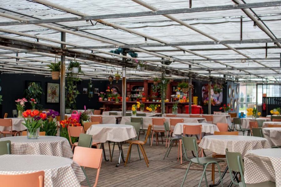 Amsterdam : Tulip Wonderland Tour - Live guide in Dutch and English: what the guide adds