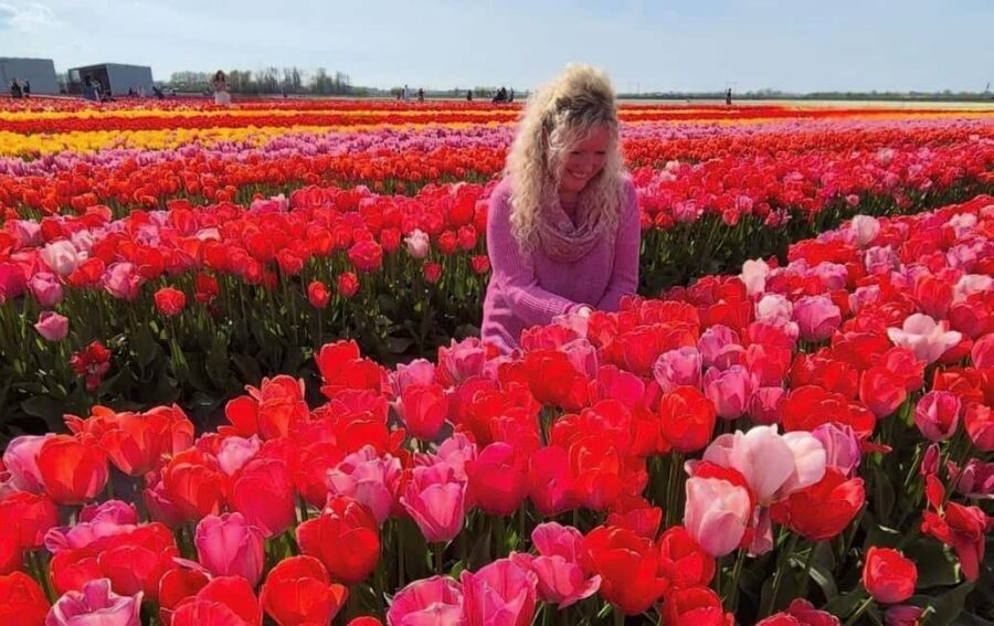 Amsterdam : Tulip Wonderland Tour - Price and value: is $37 a fair deal?