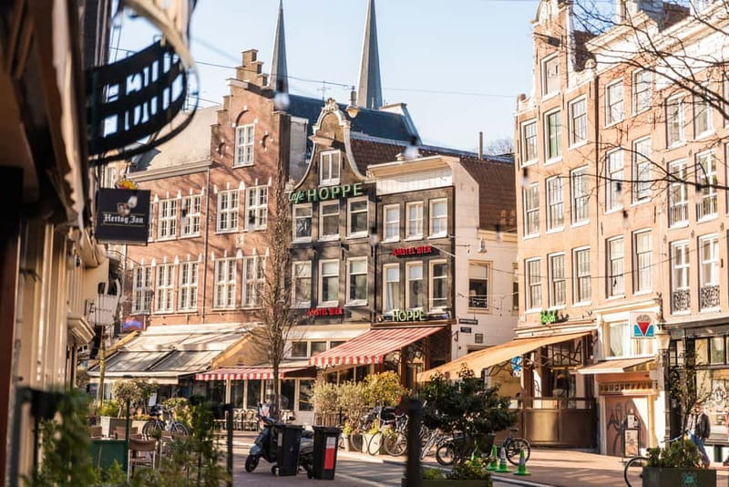 Amsterdam: Ultimate Amsterdam Food Tour - Café Sonneveld finale: bitterballen, stampot, and beer in a painter’s home