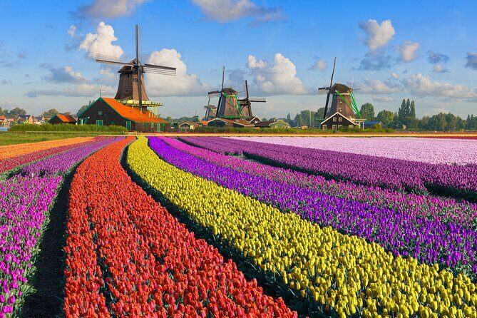 Best of Netherlands: Zaanse Schans Mills, The Hague & Rotterdam - The pacing reality: 11 hours is not a typo