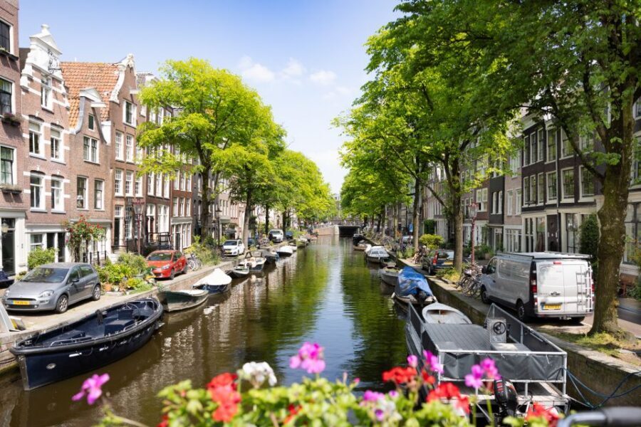 Boutique Dutch Food & History Tour with up to 8 guests only - Price and value: $147 for 4 hours that actually feels like a meal
