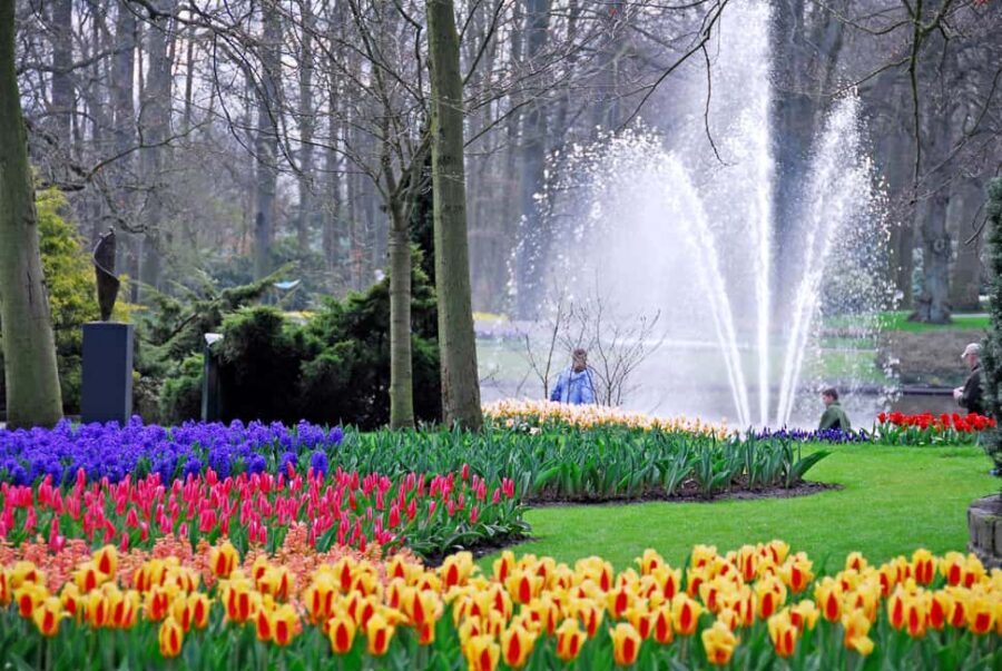 Brussels: Holland Keukenhof & Kinderdijk Guided Day Tour - Key Takeaways Before You Go