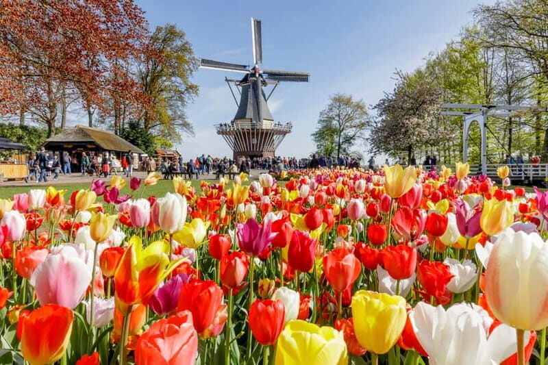 Brussels: Holland Keukenhof & Kinderdijk Guided Day Tour - Inside Two Windmills: Why This Stop Feels More Than Touristy