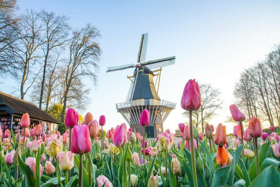 Brussels: Holland Keukenhof & Kinderdijk Guided Day Tour - Keukenhof Gardens: A Guided Start, Then You Take Over