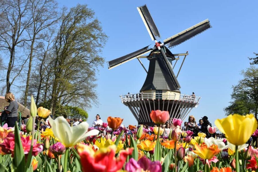 Brussels: Holland Keukenhof & Kinderdijk Guided Day Tour - Coach Comfort, Break Time, and Eating Plan
