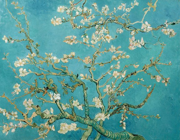 Combo Ticket: Van Gogh Museum Ticket and 1-Hour Canal Cruise - Why This Van Gogh + Canal Combo Makes Sense in Amsterdam