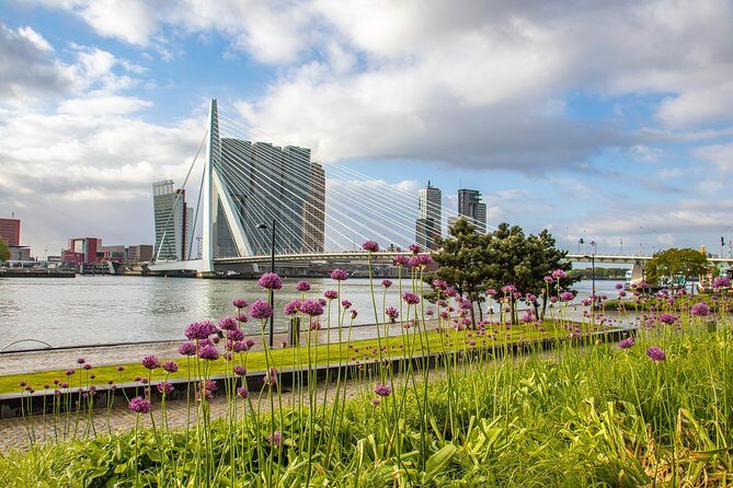 Discover Rotterdam’s most Photogenic Spots with a Local - Key Highlights You’ll Feel Quickly
