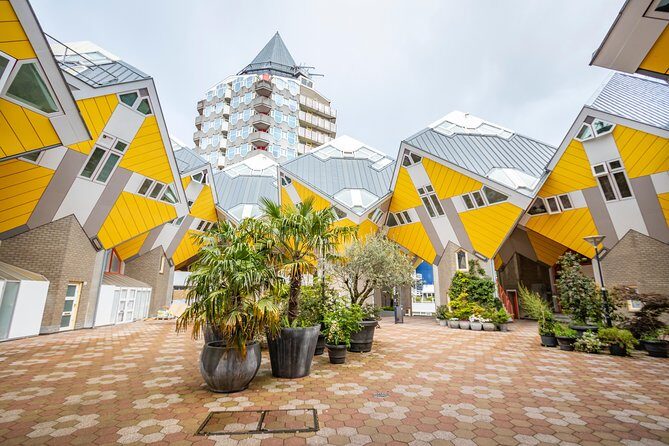 Discover Rotterdam’s most Photogenic Spots with a Local - Getting Oriented Fast: A Photo Walk That Fits Real Schedules